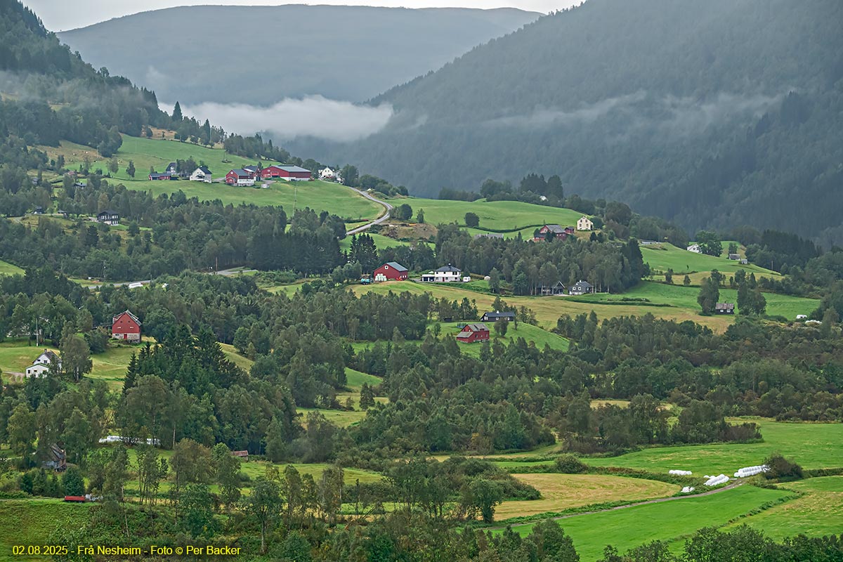 Frå Nesheim