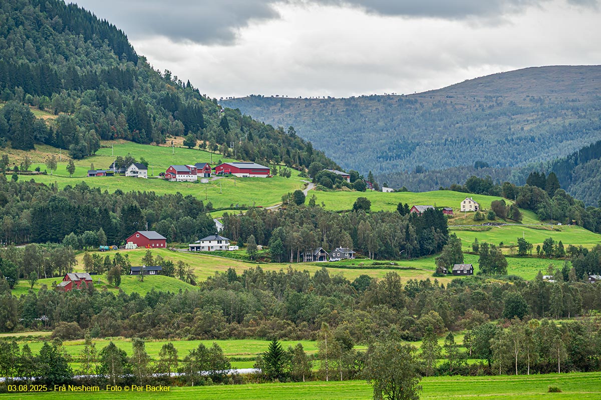 Frå Nesheim