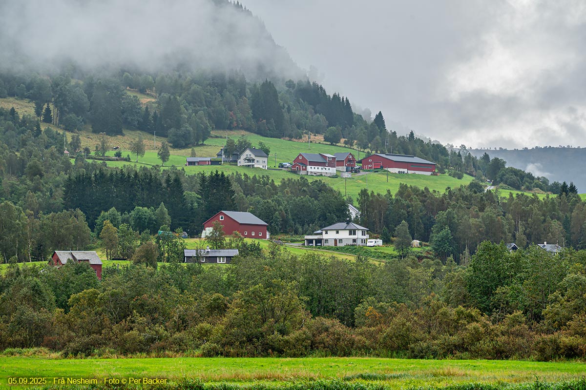 Frå Nesheim