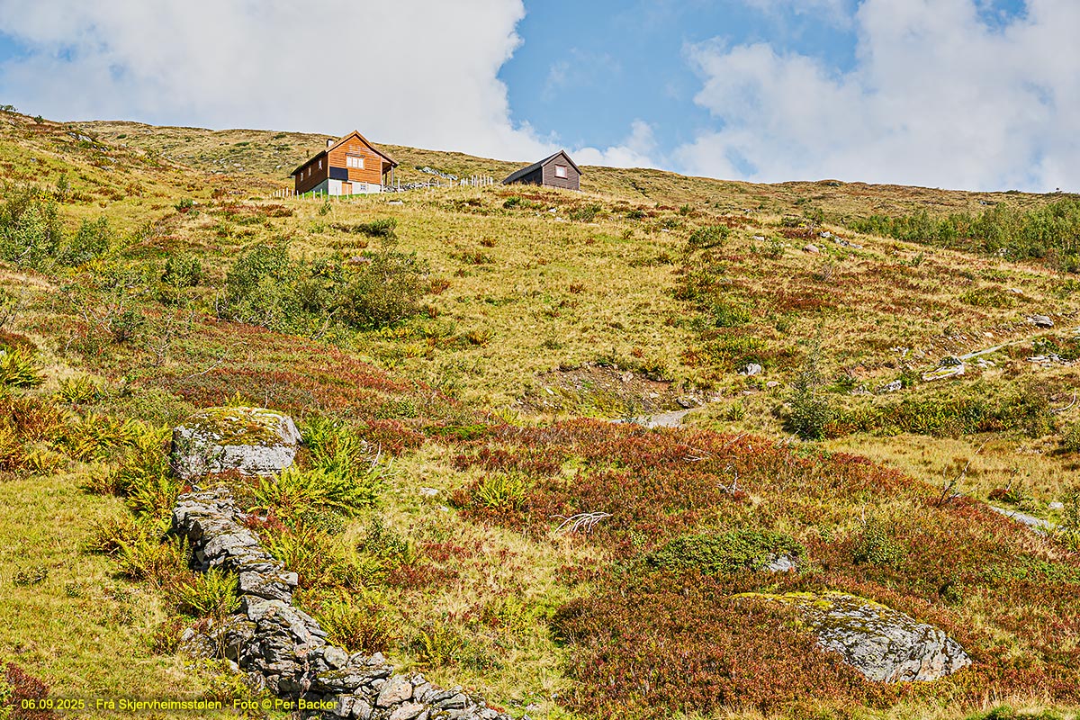 Frå Skjervheimsstølen