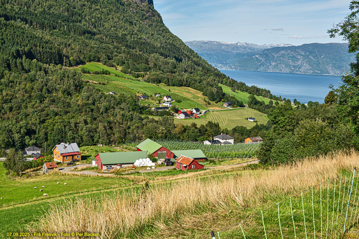Frå Fresvik