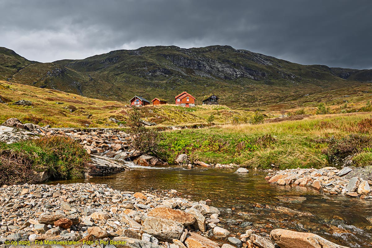 Frå Mørkvesstølen