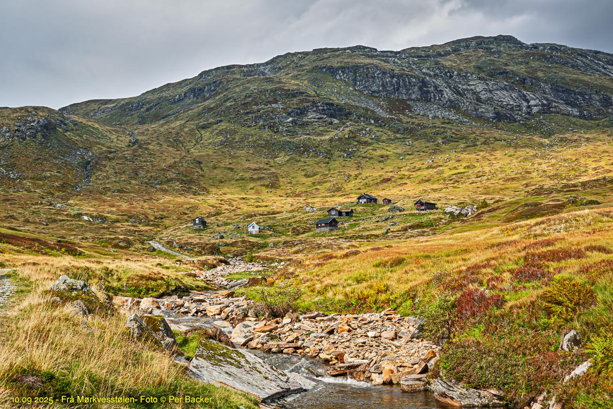 Frå Mørkvesstølen