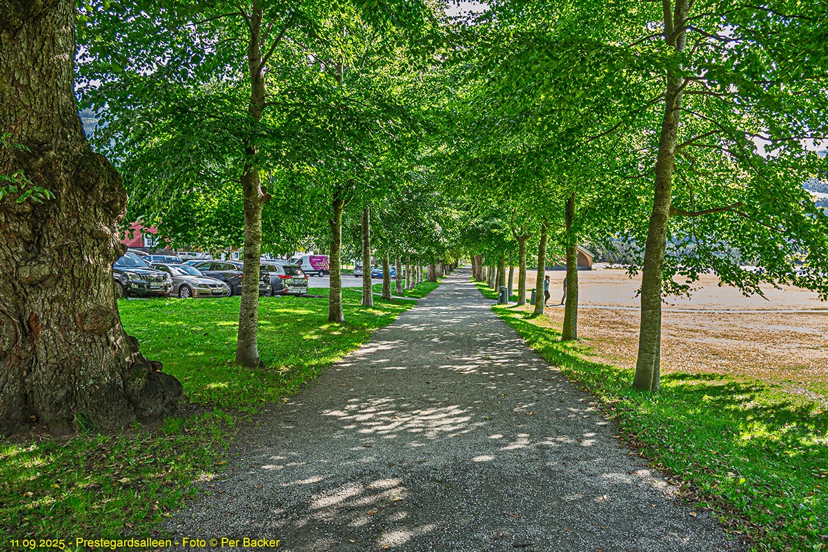 Prestegardsalleen