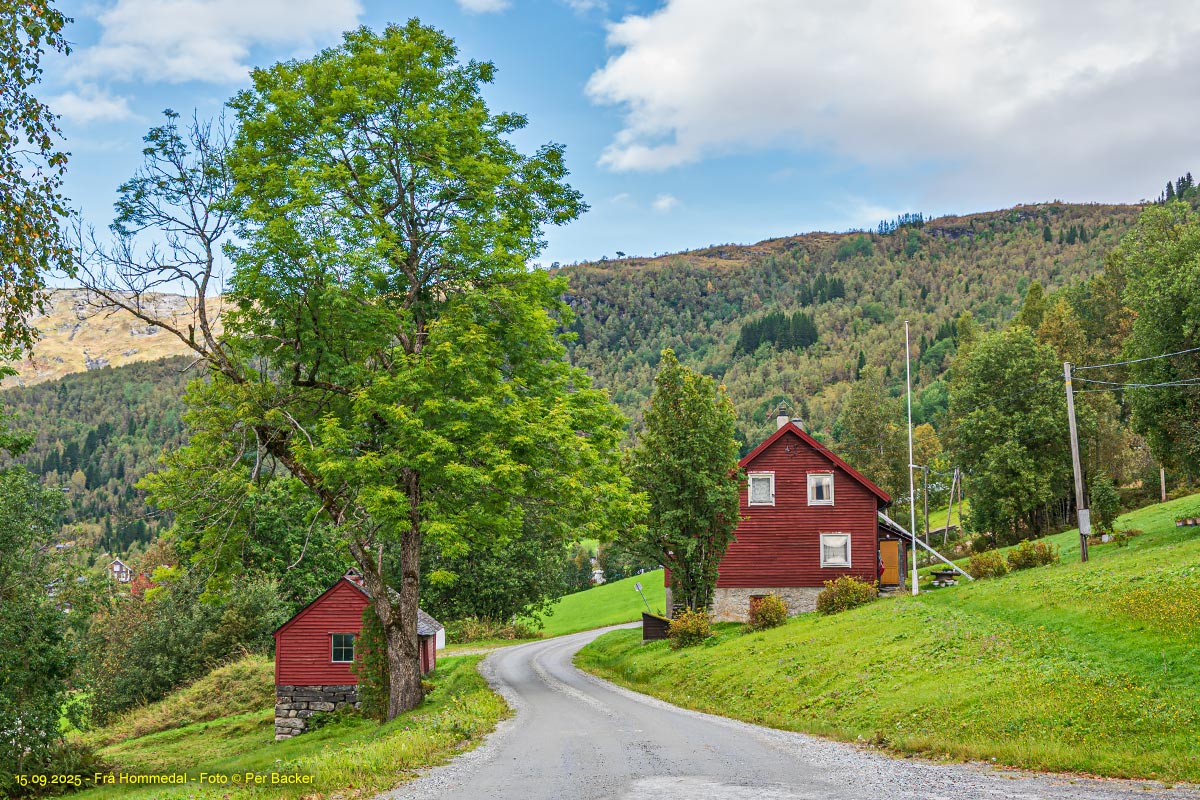 Frå Hommedal