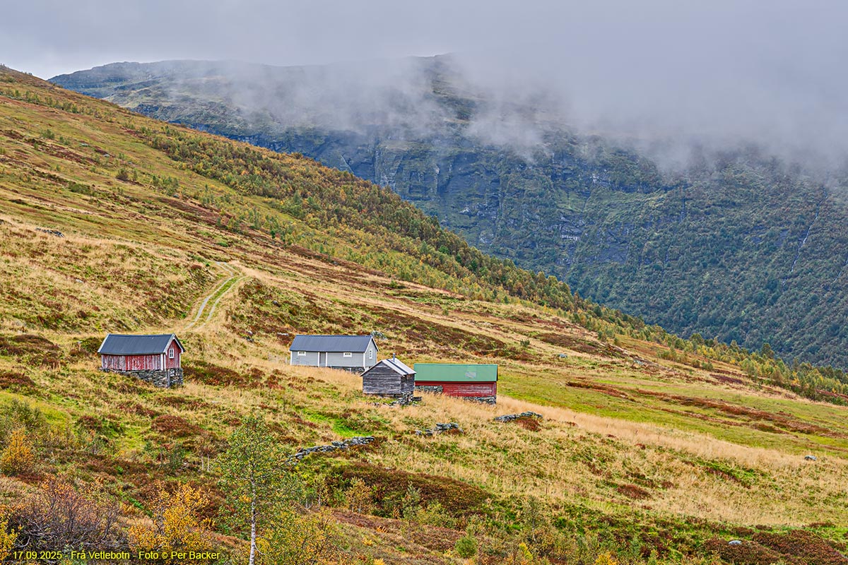 Frå Vetlebotn