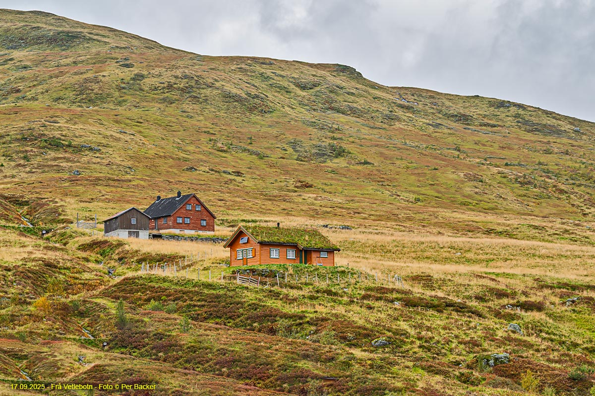 Frå Vetlebotn