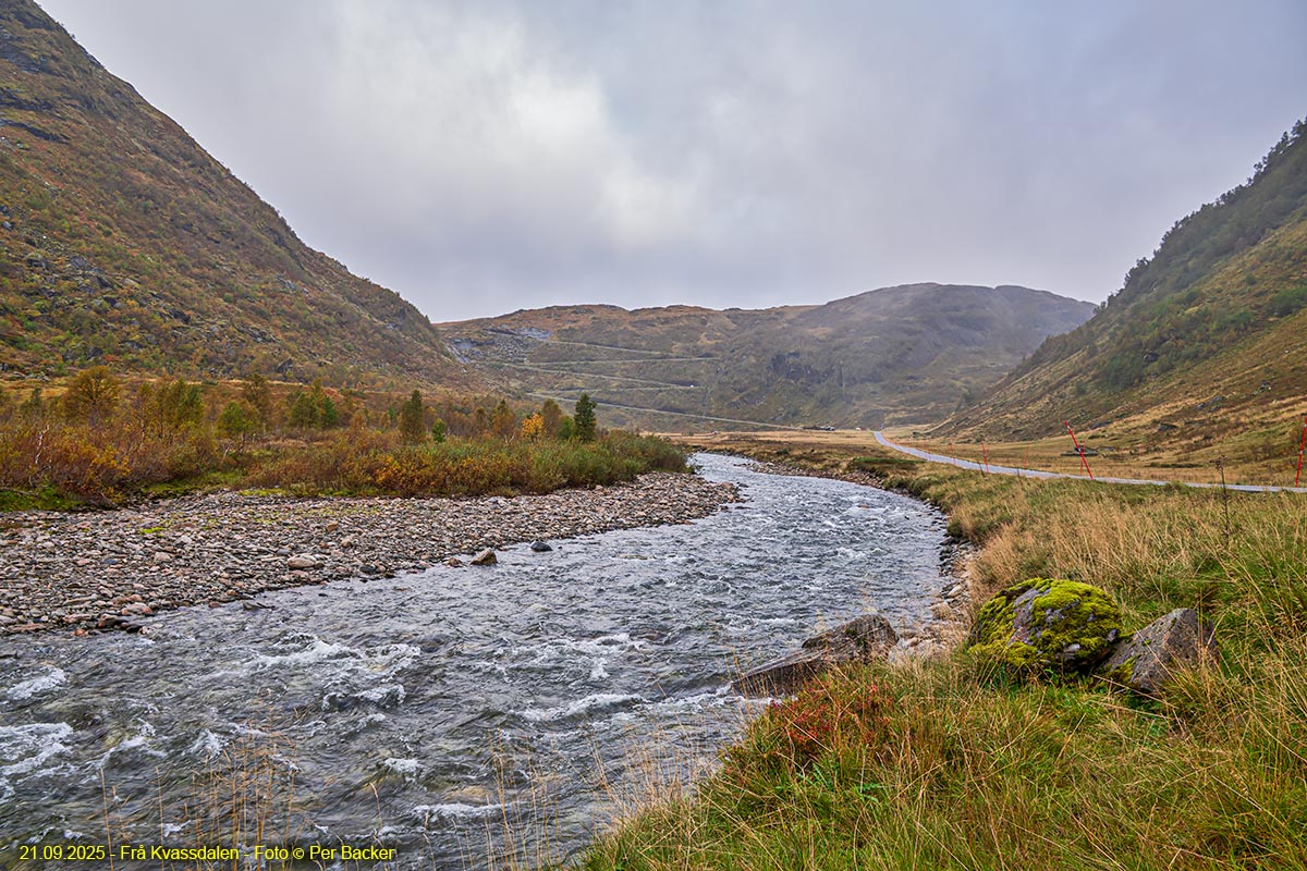 Frå Kvassdalen