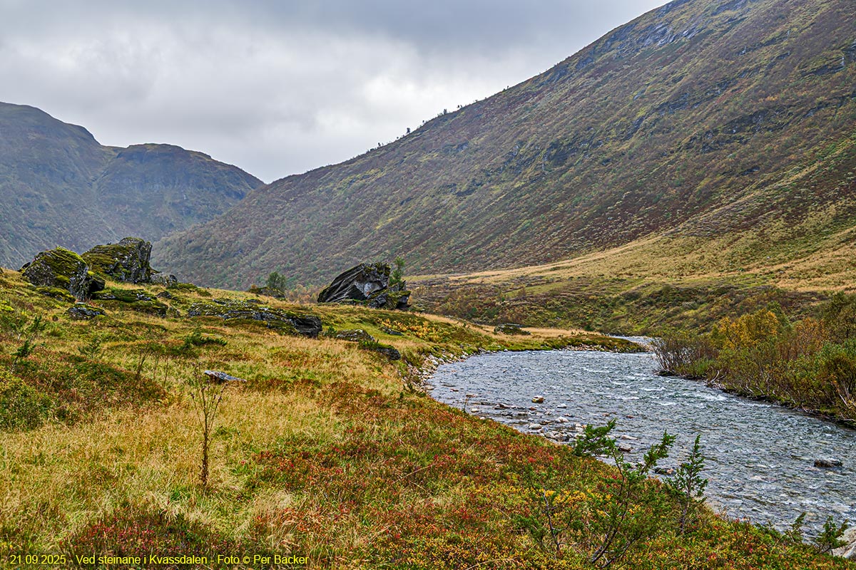 Ved Steinane i Kvassdalen