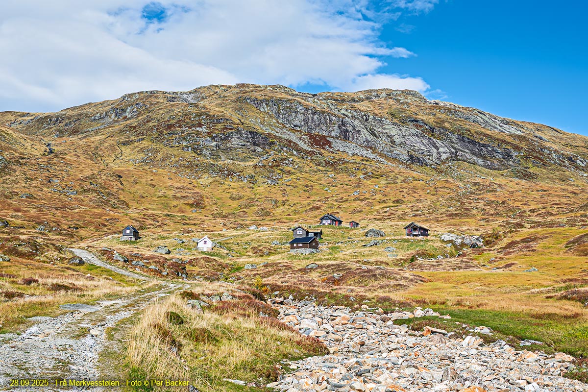 Frå Mørkvesstølen