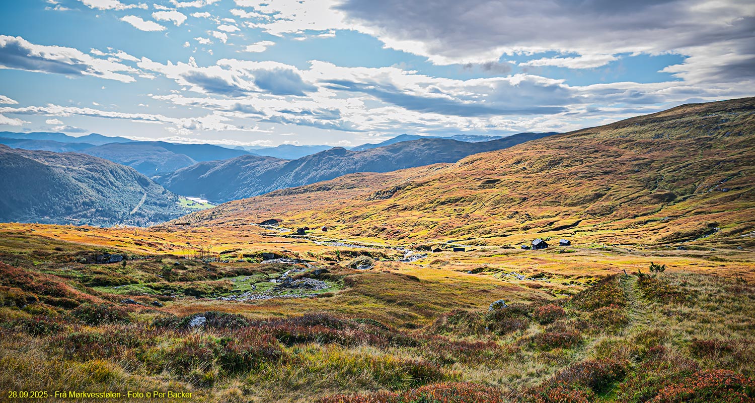 Frå Mørkvesstølen