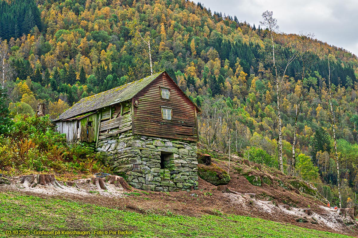 Grishuset på Kvasshaugen