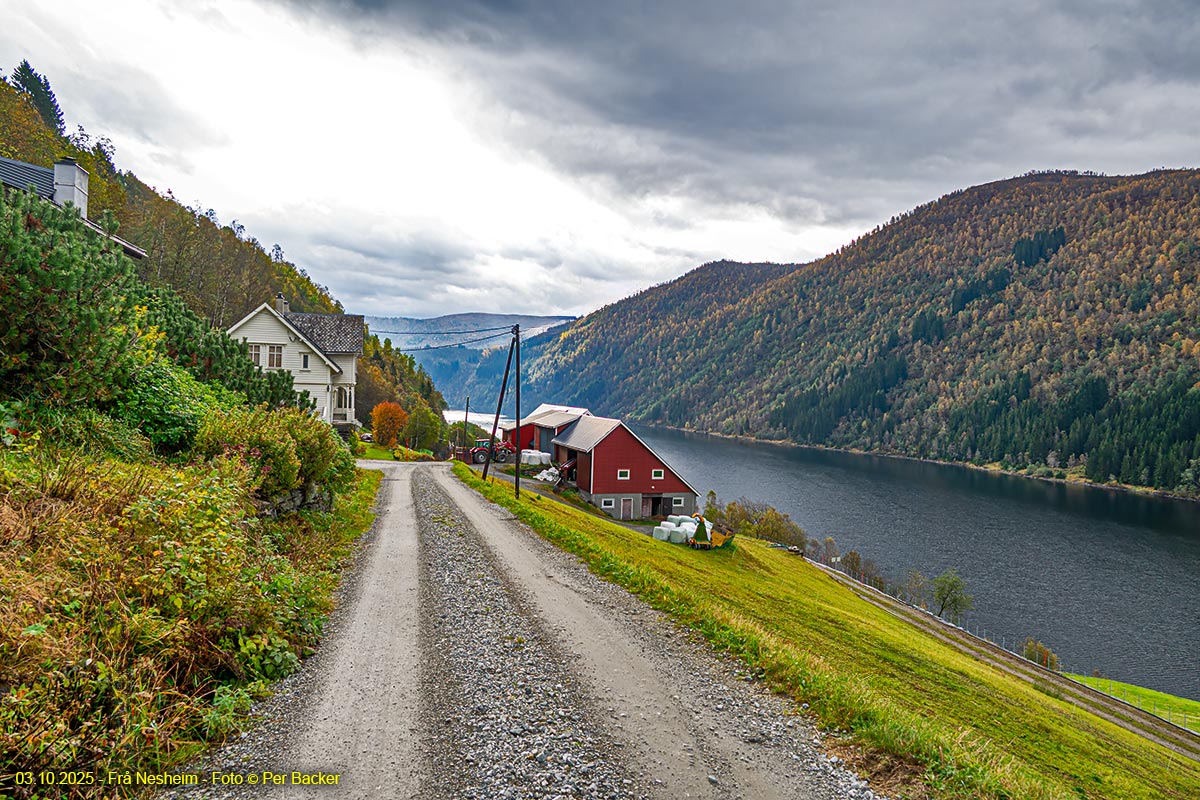 Frå Nesheim