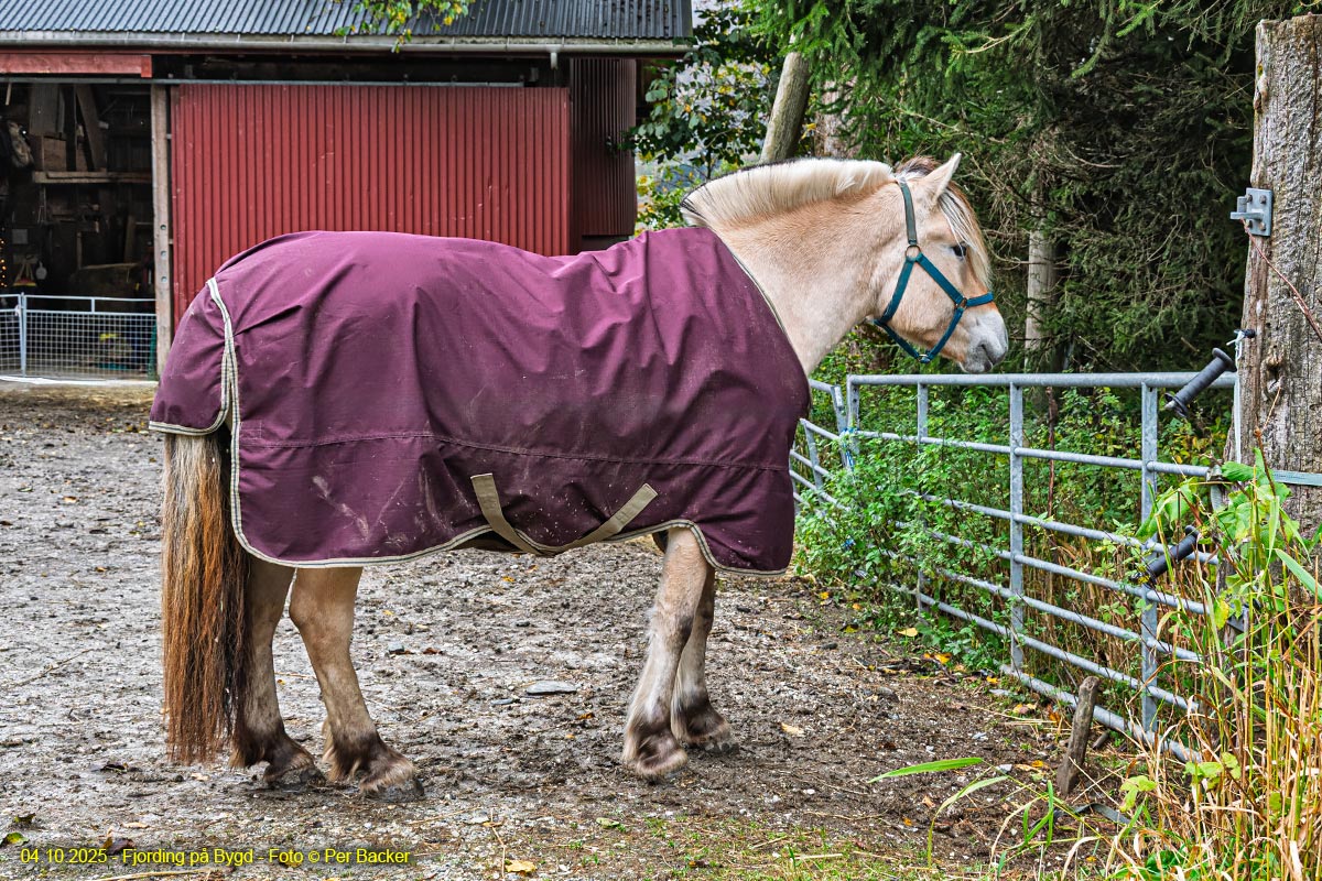 Fjording på Bygd