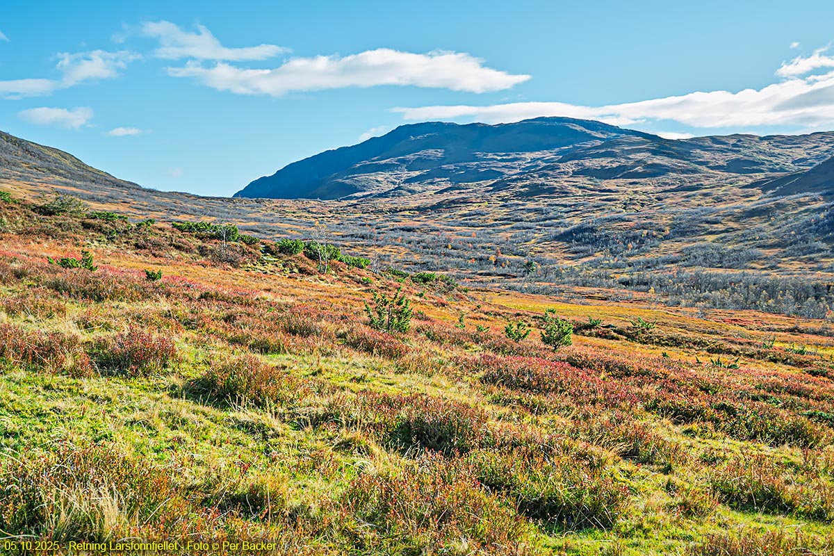 Retning Larsfonnfjellet
