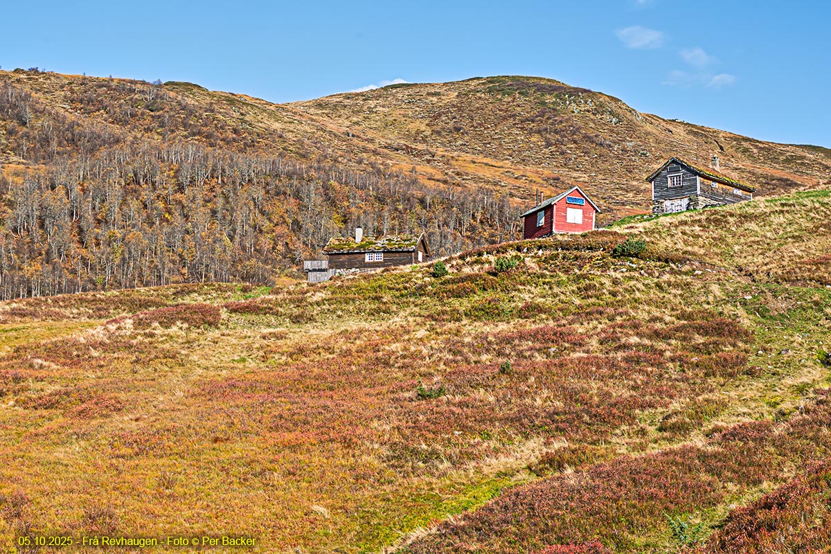 Frå Revhaugen