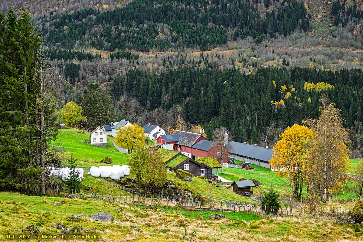 Frå Mørkve