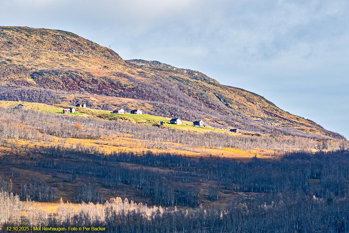 Mot Revhaugen