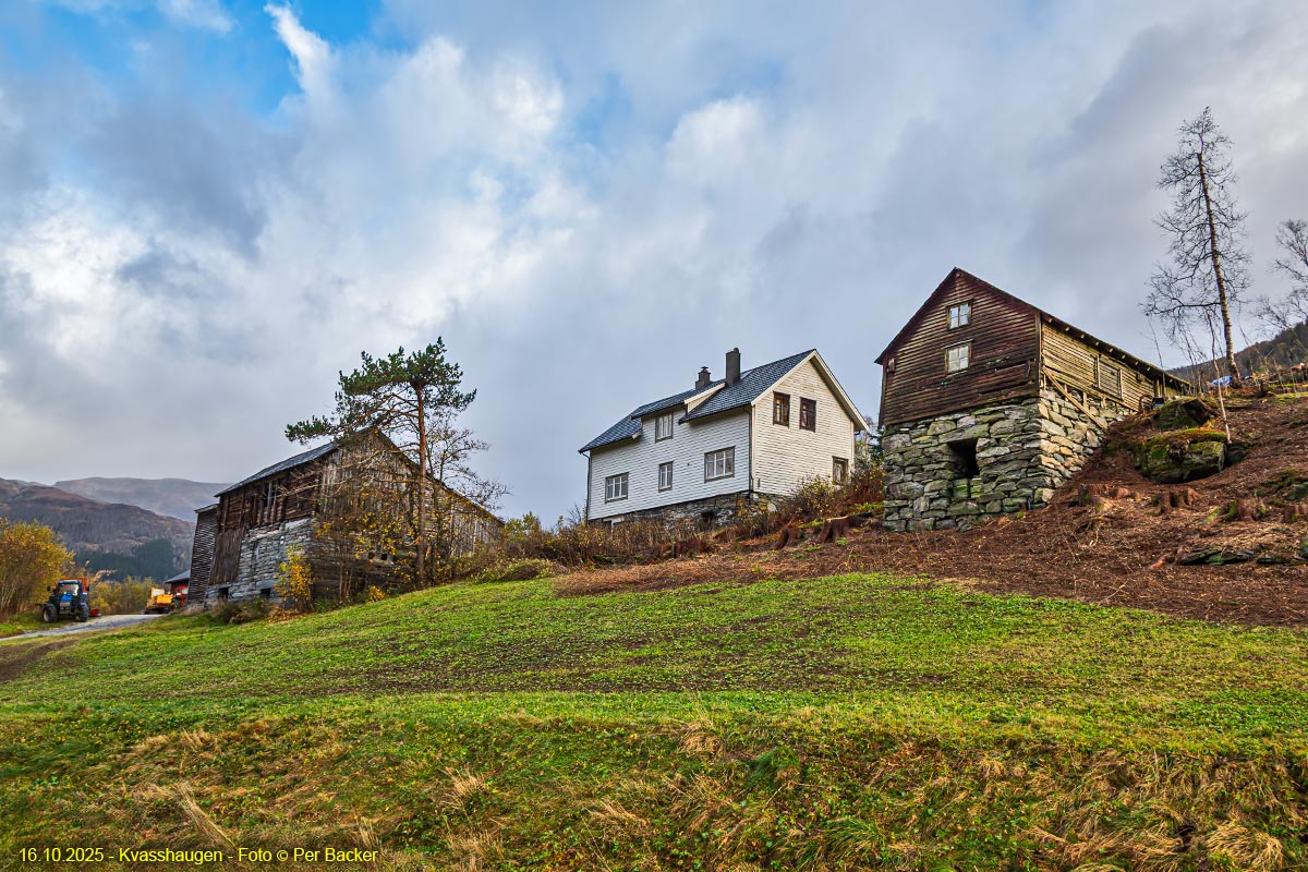 Frå Kvasshaugen