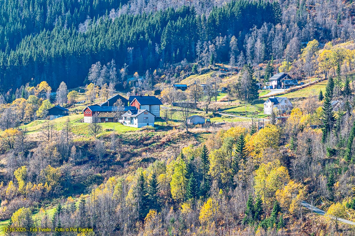 Frå Tveite