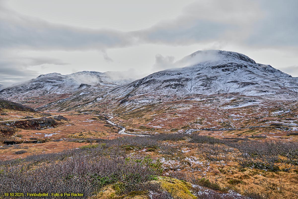 Finnbufjellet