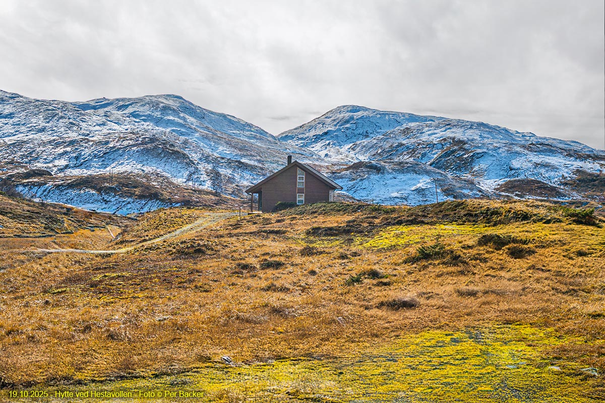 Hytte ved Hestavollen