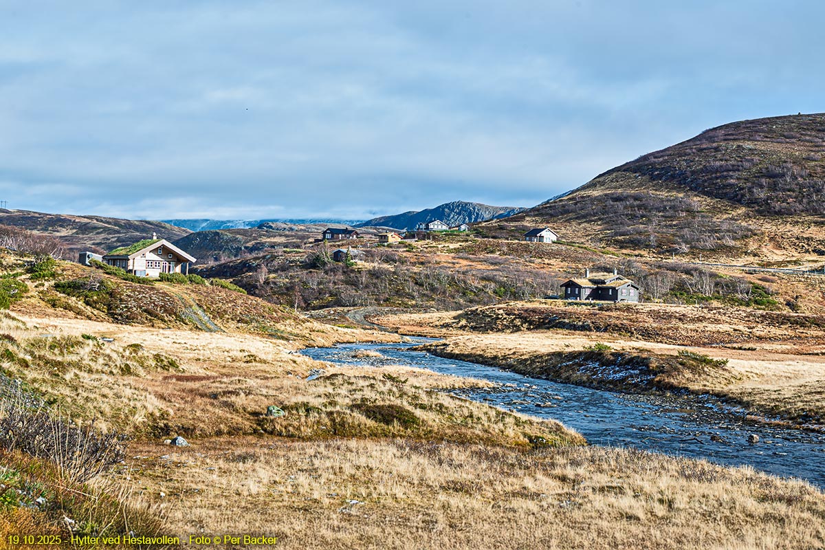 Hytter ved Hestavollen