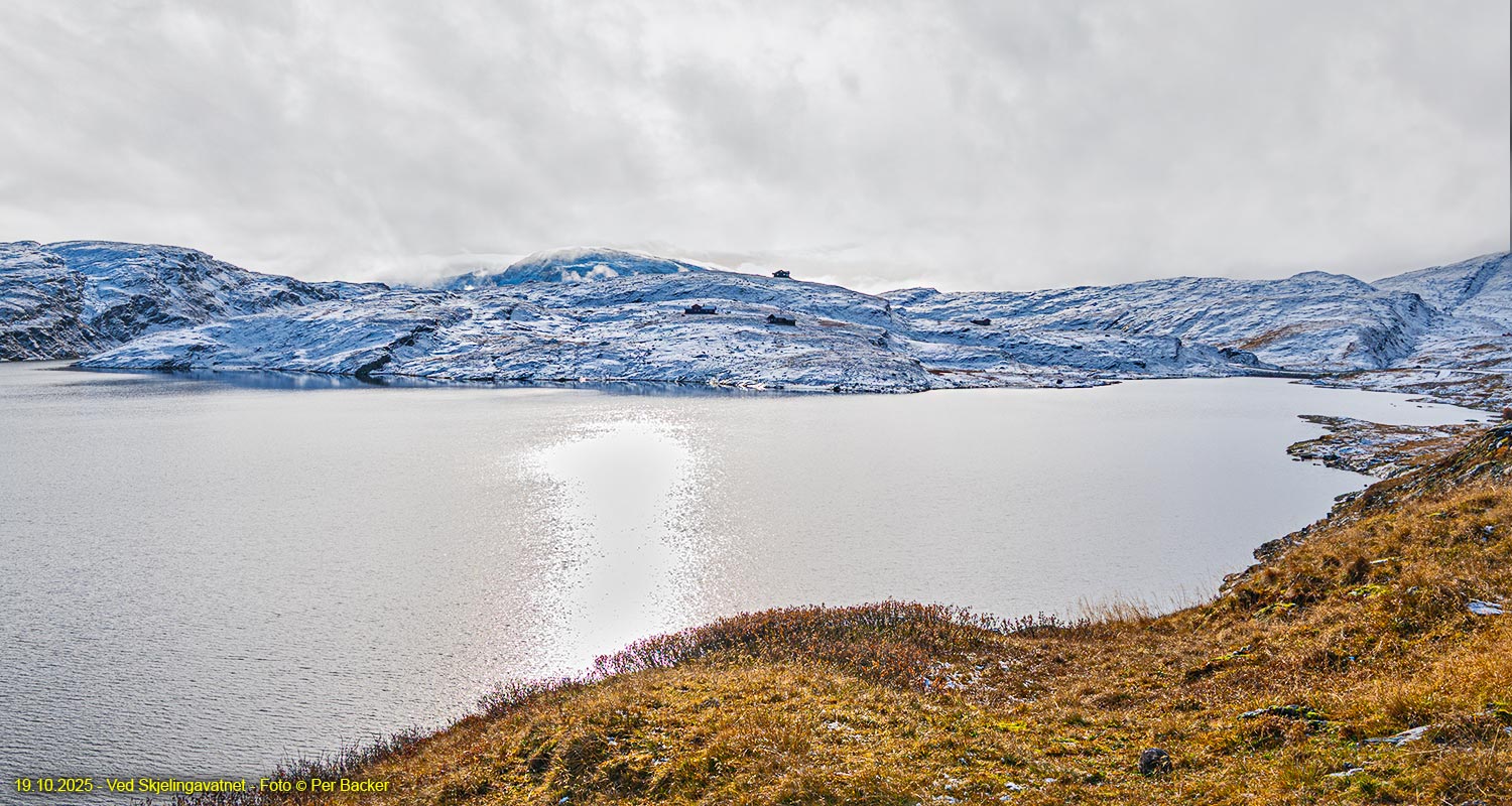 Ved Skjelingavatnet