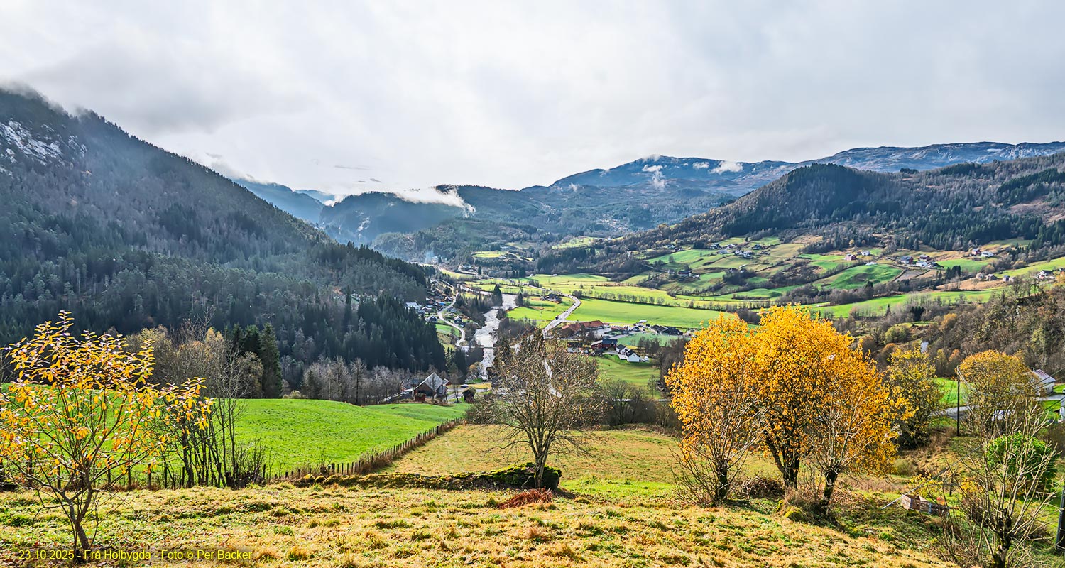 Frå Holbygda
