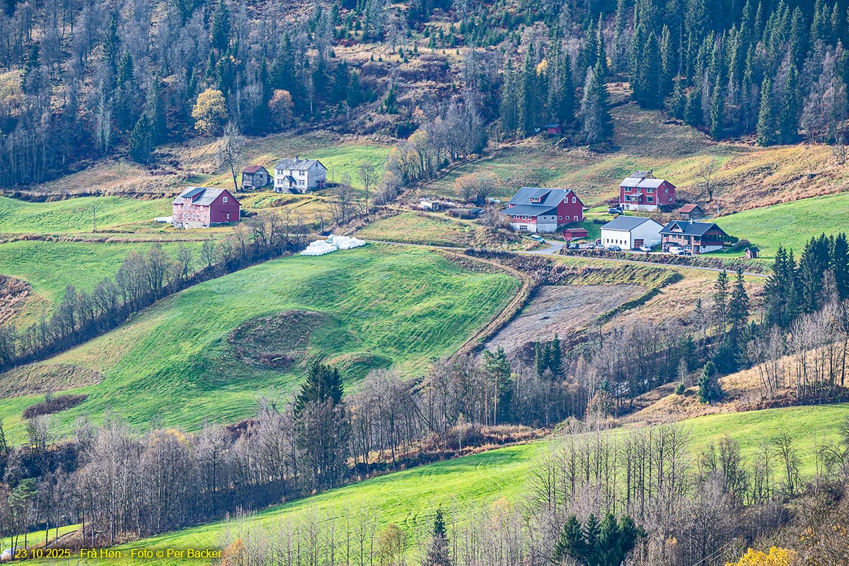 Frå Høn