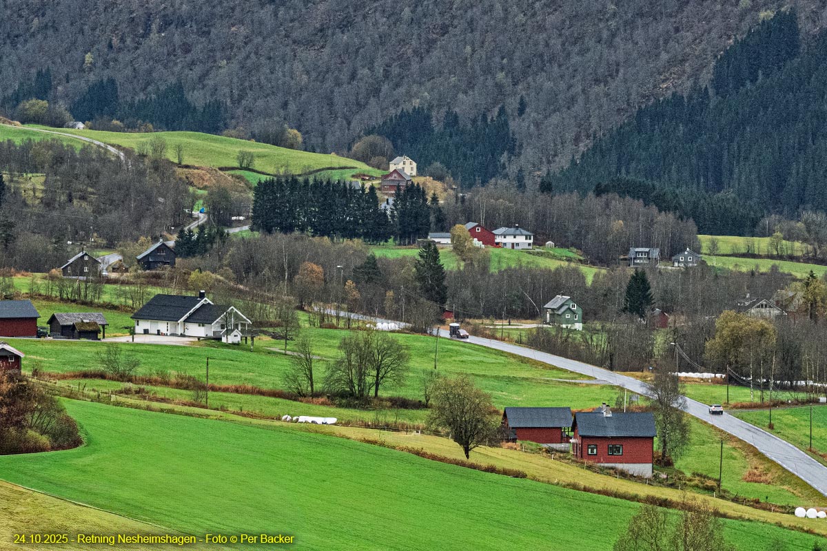 Retning Nesheimshagen