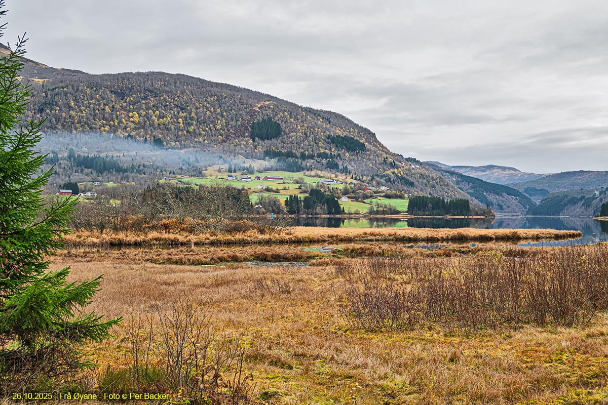 Frå Øyane