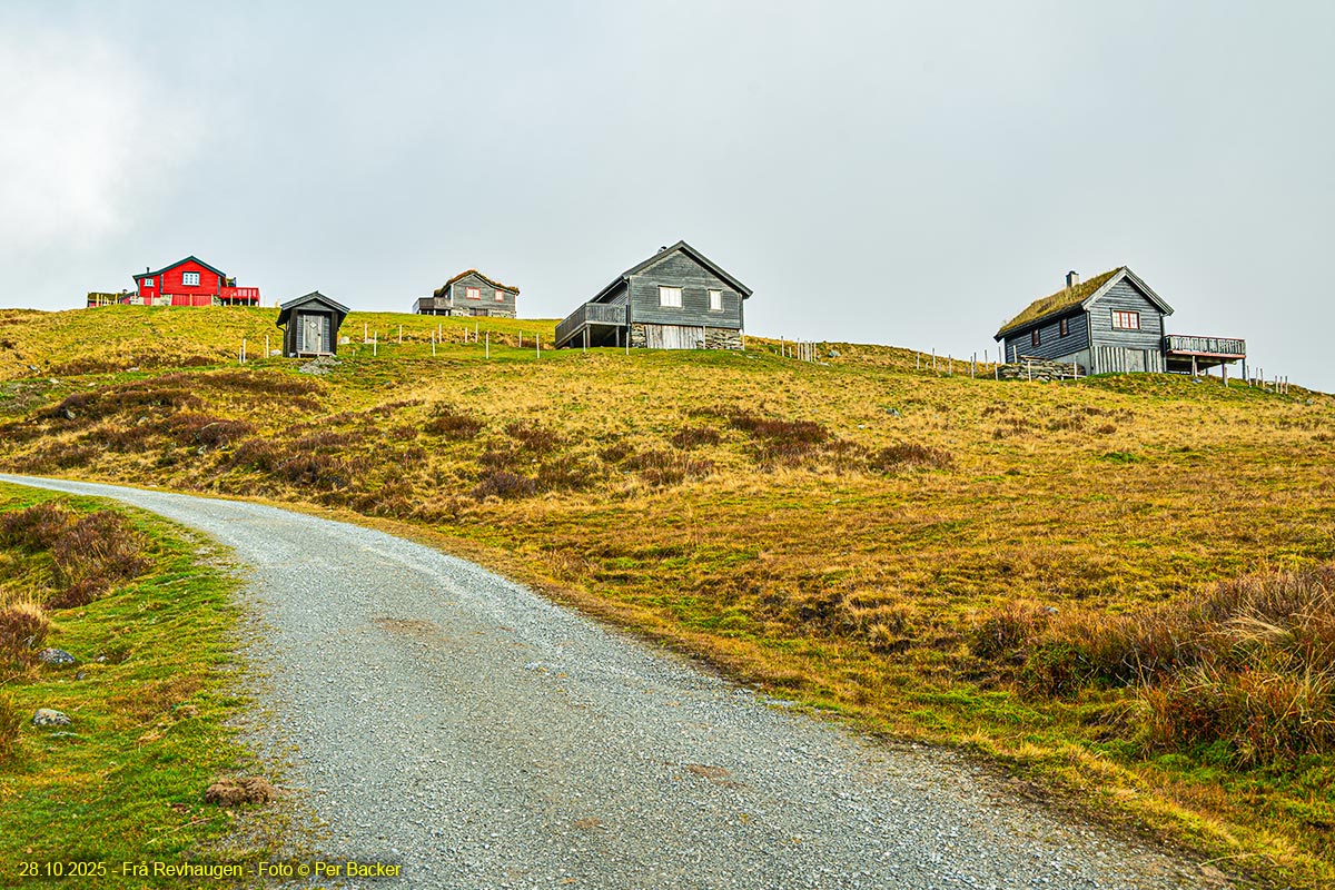 Frå Revhaugen