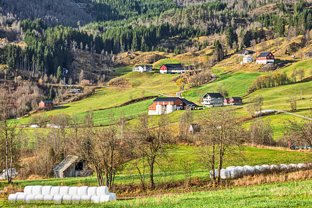 Frå Skjervheim