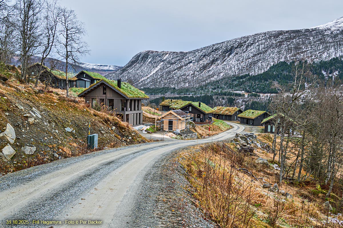 Frå Hagamyra