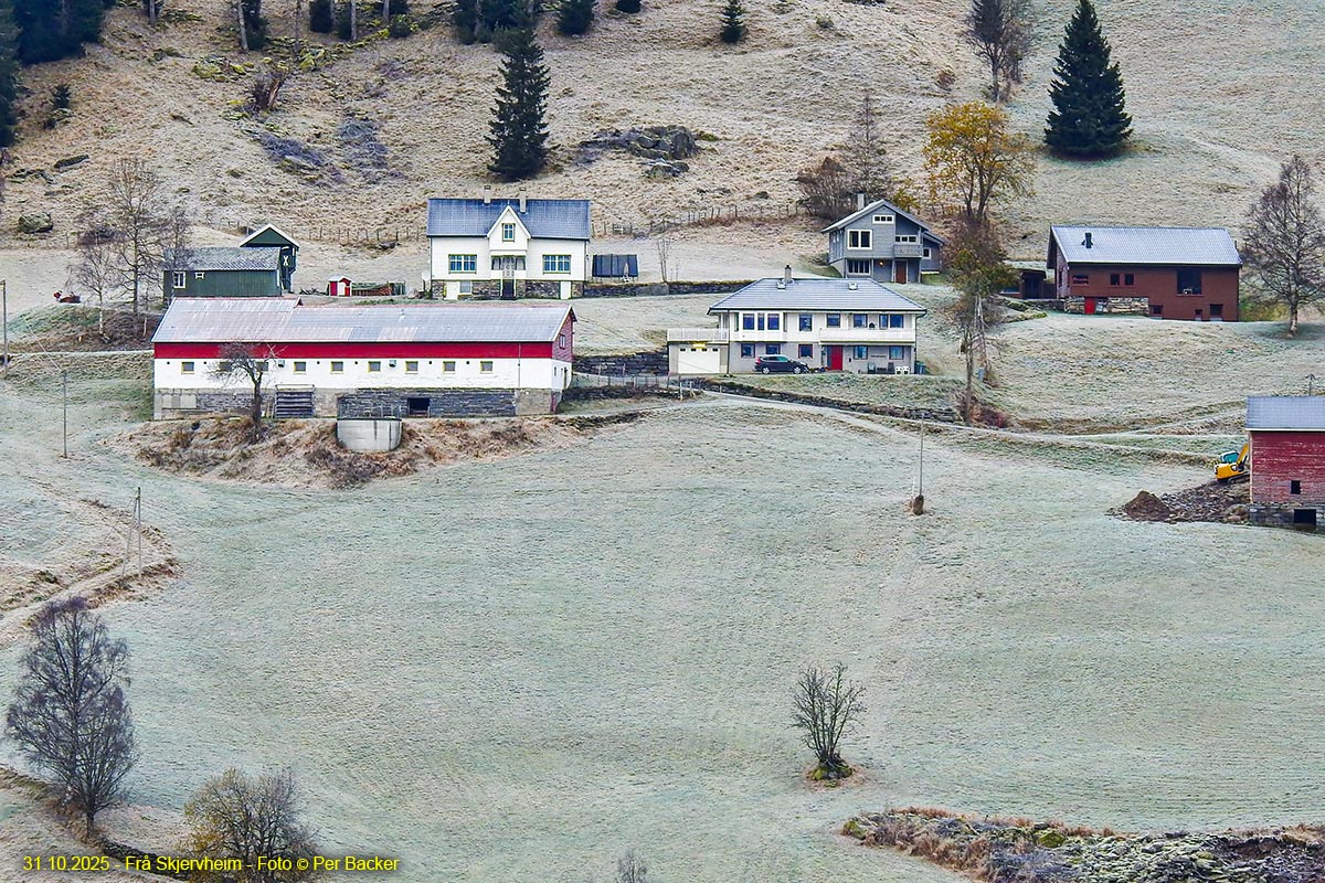 Frå Skjervheim