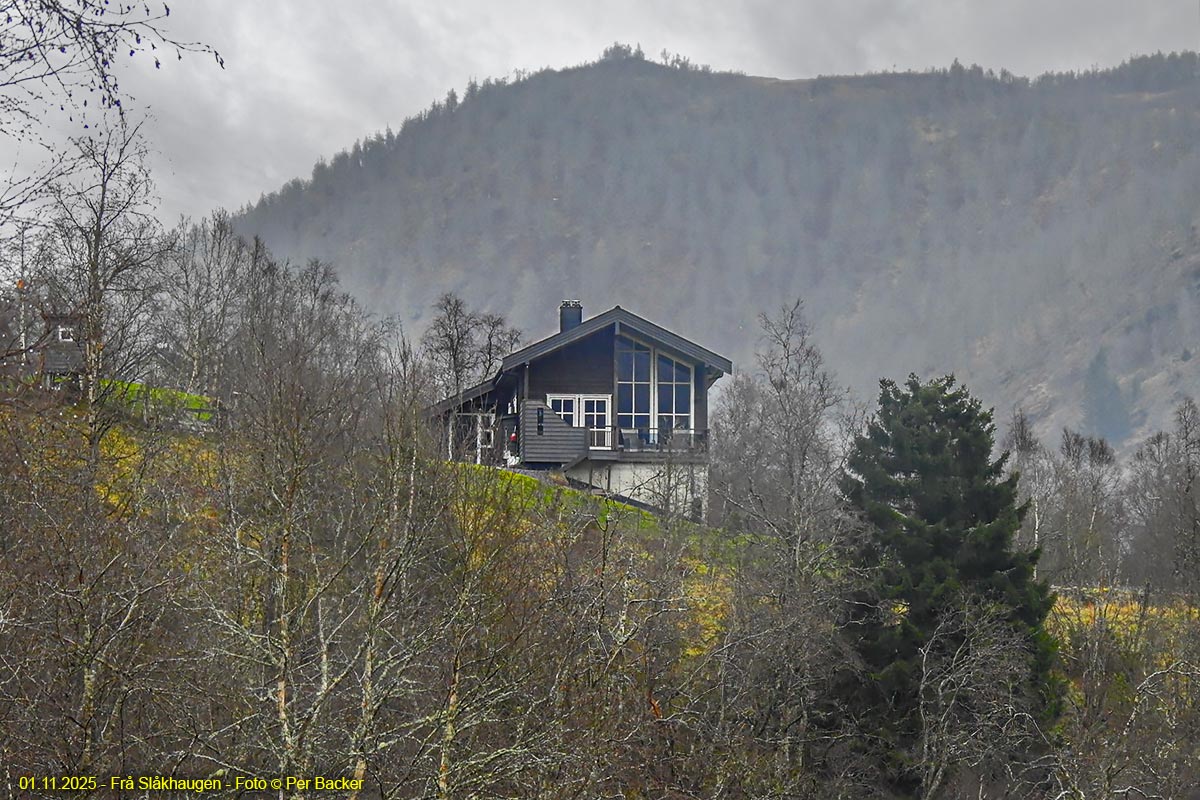 Frå Slåkhaugen