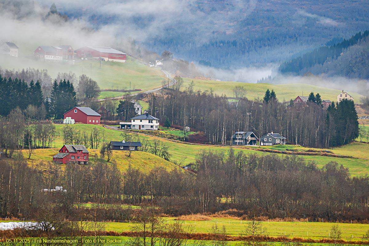 Frå Nesheimshagen
