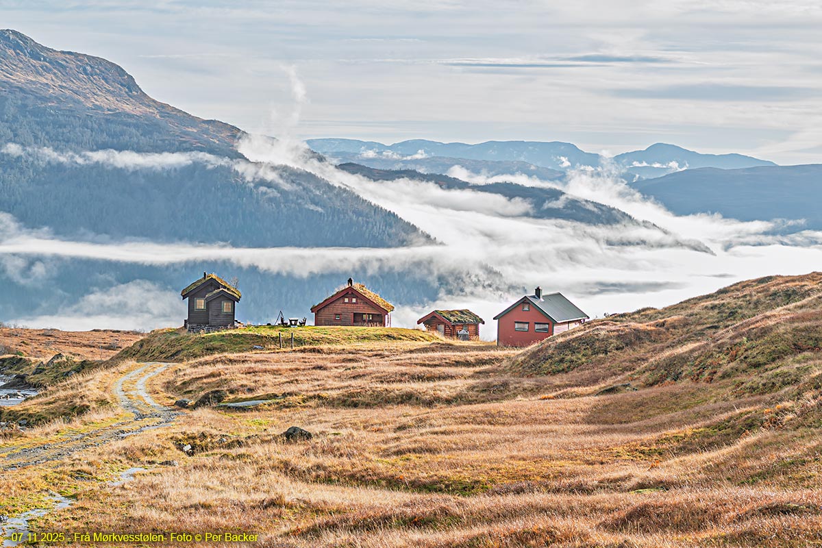 Frå Mørkvesstølen