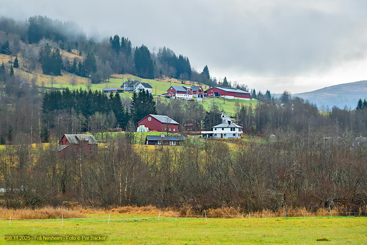 Frå Nesheim