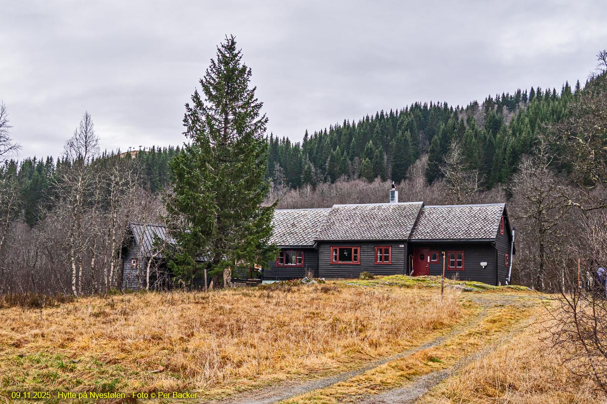 Hytte på Nyestølen