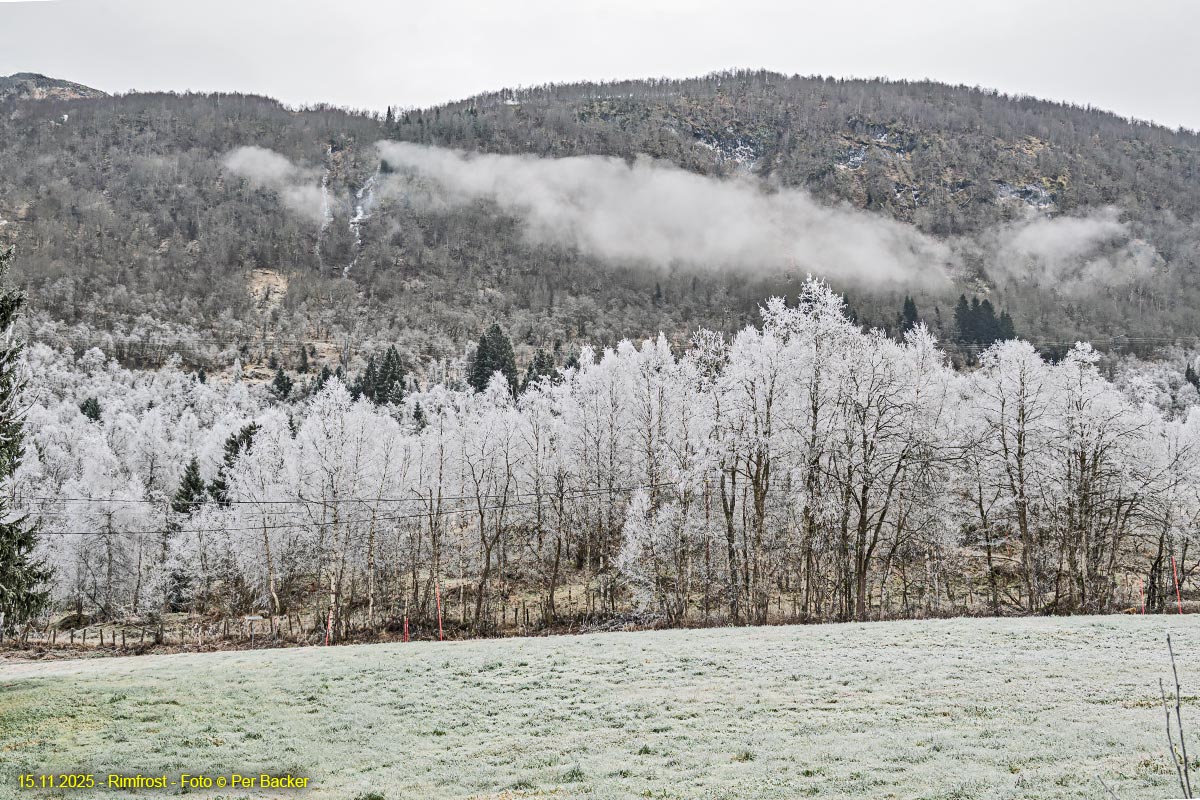 Rimfrost