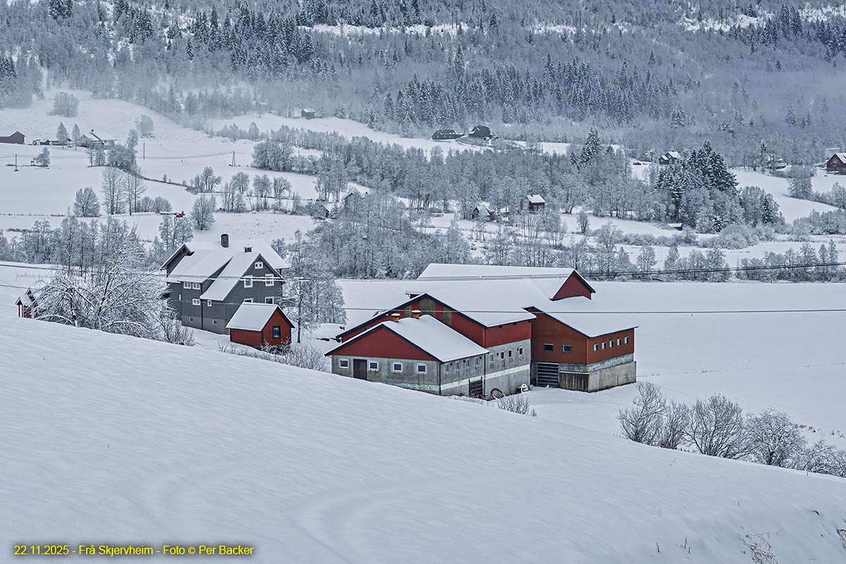 Frå Skjervheim
