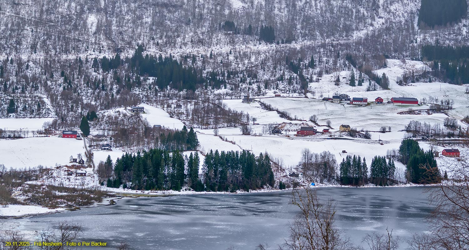 Frå Nesheim