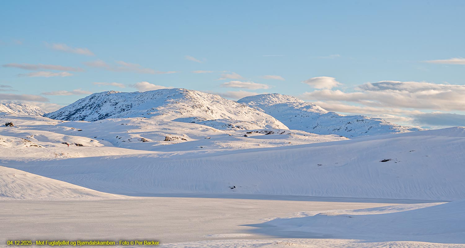 Mot Fuglafjellet og Bjørndalskamben