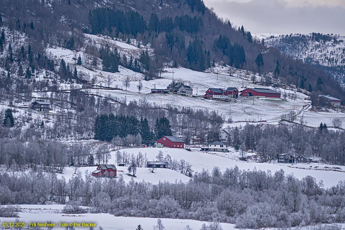 Frå Nesheim
