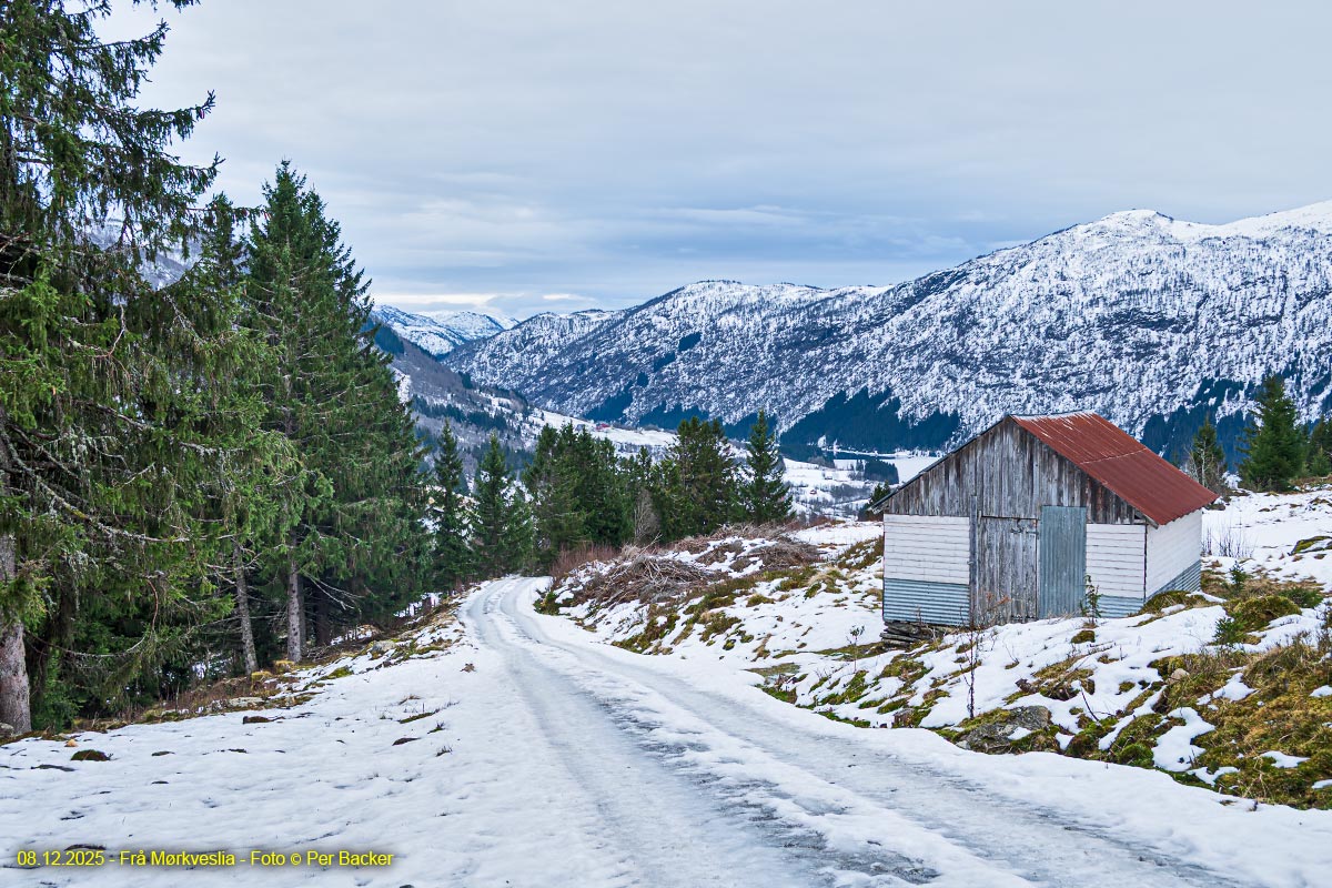 Frå Mørkveslia