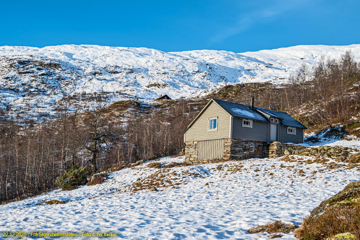 Frå Skjervheimsstølen