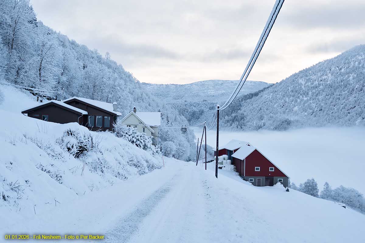 Frå Nesheim 