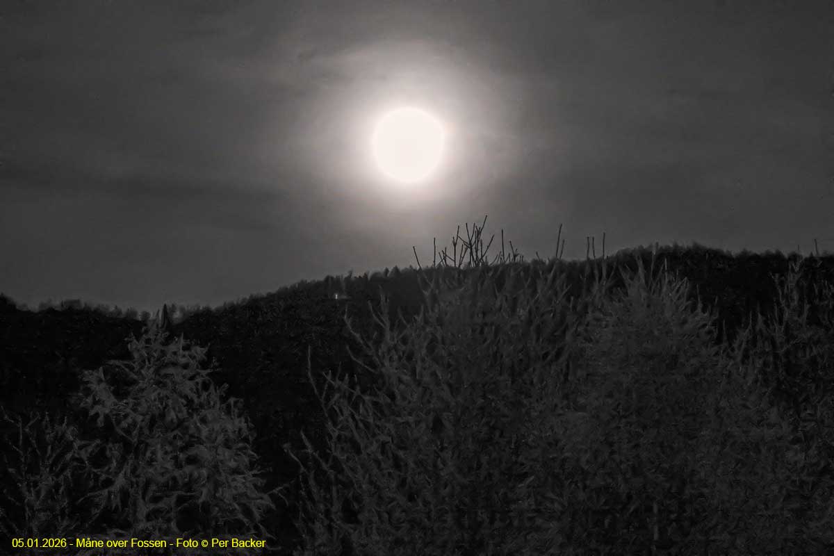 Måne over Fossen